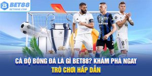 cá độ bóng đá là gì?