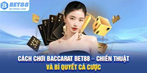 Cách chơi baccarat