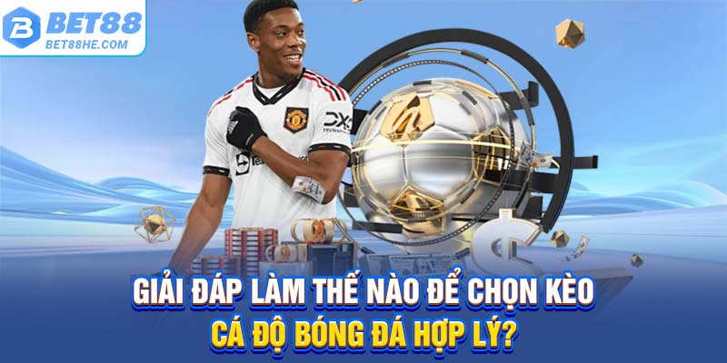Giải đáp làm thế nào để chọn kèo cá độ bóng đá hợp lý?
